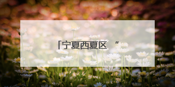 宁夏西夏区 “兴泾黄牛节”绘就乡村振兴新画卷