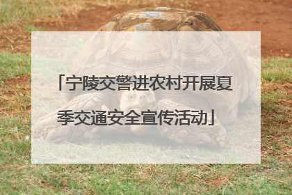 宁陵交警进农村开展夏季交通安全宣传活动