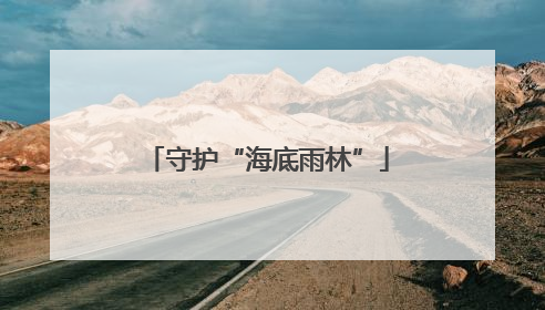 守护“海底雨林”