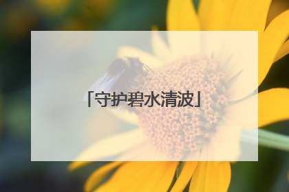 守护碧水清波