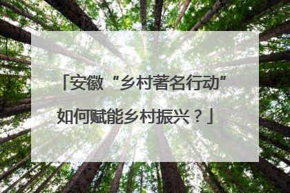 安徽“乡村著名行动”如何赋能乡村振兴？