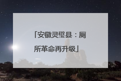 安徽灵璧县：厕所革命再升级