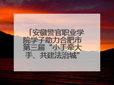 安徽警官职业学院学子助力合肥市第三届“小手牵大手、共建法治城”公益普法活动