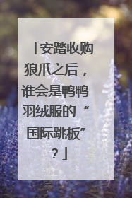 安踏收购狼爪之后，谁会是鸭鸭羽绒服的“国际跳板”？