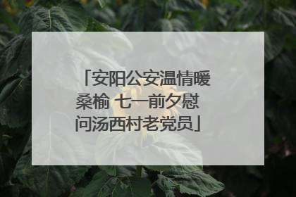 安阳公安温情暖桑榆 七一前夕慰问汤西村老党员