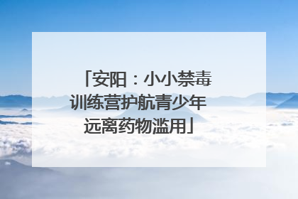 安阳：小小禁毒训练营护航青少年远离药物滥用