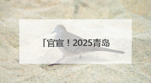 官宣！2025青岛国际啤酒节时间定了