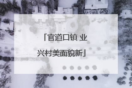 官道口镇 业兴村美面貌新