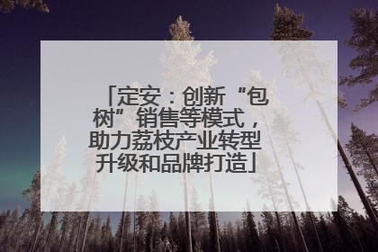 定安：创新“包树”销售等模式，助力荔枝产业转型升级和品牌打造