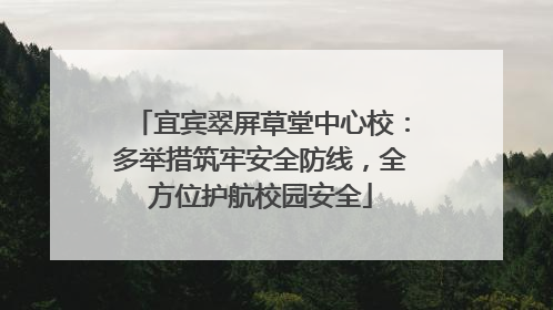 宜宾翠屏草堂中心校：多举措筑牢安全防线，全方位护航校园安全