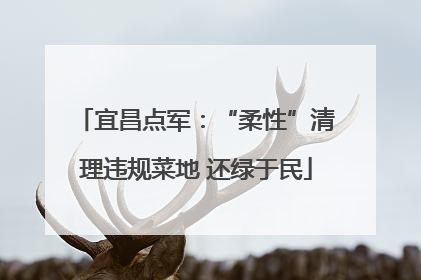 宜昌点军：“柔性”清理违规菜地 还绿于民