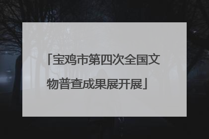 宝鸡市第四次全国文物普查成果展开展