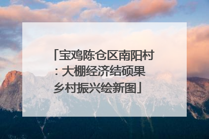 宝鸡陈仓区南阳村：大棚经济结硕果 乡村振兴绘新图