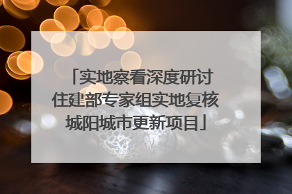 实地察看深度研讨 住建部专家组实地复核城阳城市更新项目