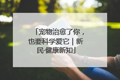 宠物治愈了你，也要科学爱它｜新民·健康新知