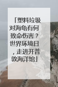 塑料垃圾对海龟有何致命伤害？世界环境日，走进开普敦海洋馆