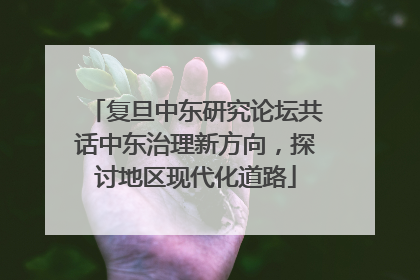 复旦中东研究论坛共话中东治理新方向，探讨地区现代化道路