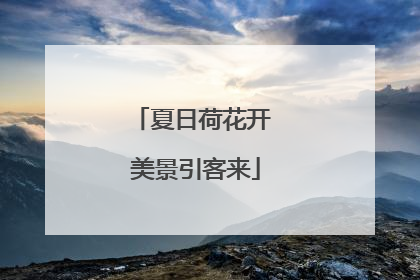 夏日荷花开 美景引客来