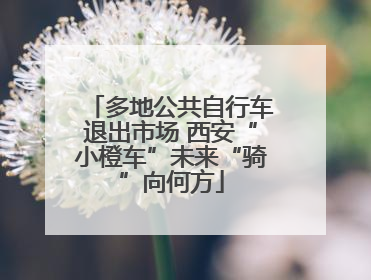 多地公共自行车退出市场 西安“小橙车”未来“骑”向何方