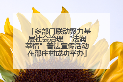多部门联动聚力基层社会治理 “法润莘情”普法宣传活动在邵庄村成功举办