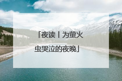 夜读丨为萤火虫哭泣的夜晚