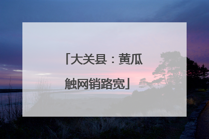 大关县：黄瓜触网销路宽