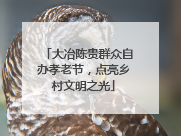 大冶陈贵群众自办孝老节，点亮乡村文明之光