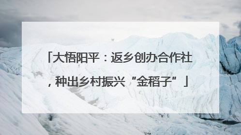 大悟阳平：返乡创办合作社，种出乡村振兴“金稻子”