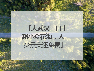 大武汉一日丨超小众花海，人少景美还免费