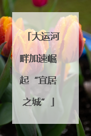 大运河畔加速崛起“宜居之城”
