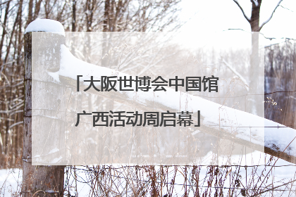 大阪世博会中国馆广西活动周启幕