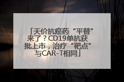 天价抗癌药“平替”来了？CD19单抗获批上市，治疗“靶点”与CAR-T相同