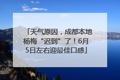 天气原因，成都本地杨梅“迟到”了！6月5日左右迎最佳口感