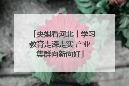 央媒看河北丨学习教育走深走实 产业集群向新向好