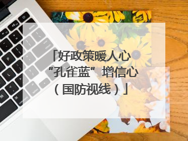 好政策暖人心 “孔雀蓝”增信心（国防视线）