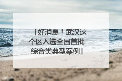 好消息！武汉这个区入选全国首批综合类典型案例