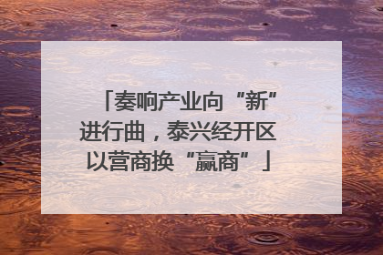 奏响产业向“新”进行曲，泰兴经开区以营商换“赢商”
