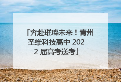 奔赴璀璨未来！青州圣维科技高中 2022 届高考送考