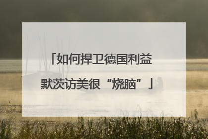 如何捍卫德国利益 默茨访美很“烧脑”