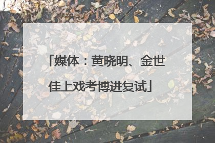 媒体：黄晓明、金世佳上戏考博进复试