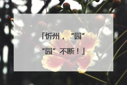 忻州，“园”“园”不断！