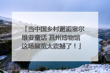 当中国乡村邂逅塞尔维亚童话 莒州博物馆这场展览太震撼了！