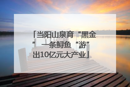 当阳山泉育“黑金” 一条鲟鱼“游”出10亿元大产业