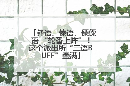 彝语、傣语、傈僳语 “轮番上阵”！这个派出所“三语BUFF”叠满
