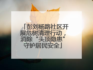 彭刘杨路社区开展危树清理行动，消除“头顶隐患”守护居民安全