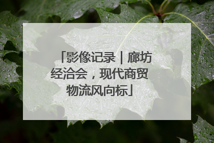 影像记录｜廊坊经洽会，现代商贸物流风向标
