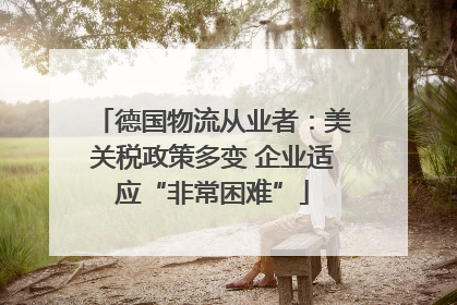 德国物流从业者：美关税政策多变 企业适应“非常困难”