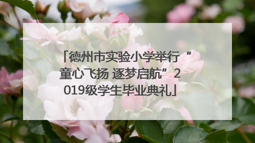 德州市实验小学举行“童心飞扬 逐梦启航”2019级学生毕业典礼