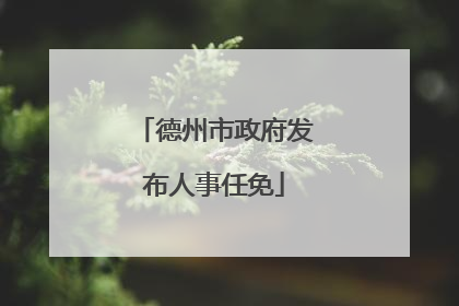德州市政府发布人事任免