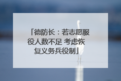 德防长：若志愿服役人数不足 考虑恢复义务兵役制